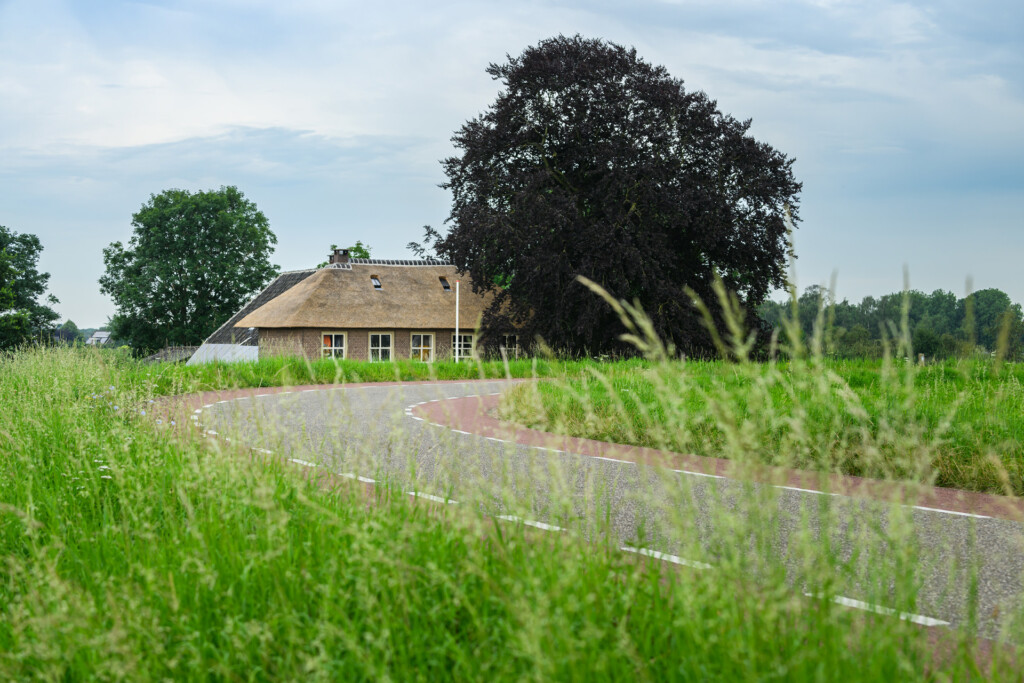 REN10-JePenraadstraat9Maurik-8123